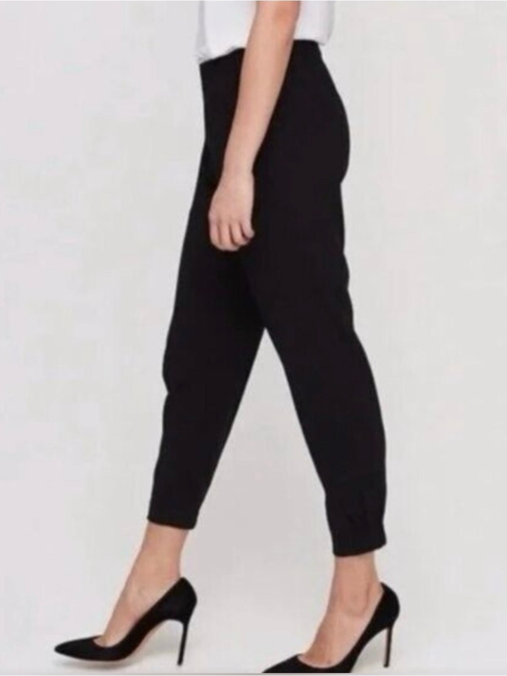 Aritzia BABATON Dexter Tuxedo Trouser Pants